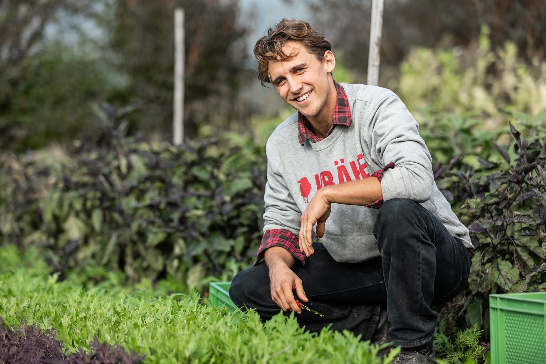 LaMa Gartengemüse in der SWR Landesschau