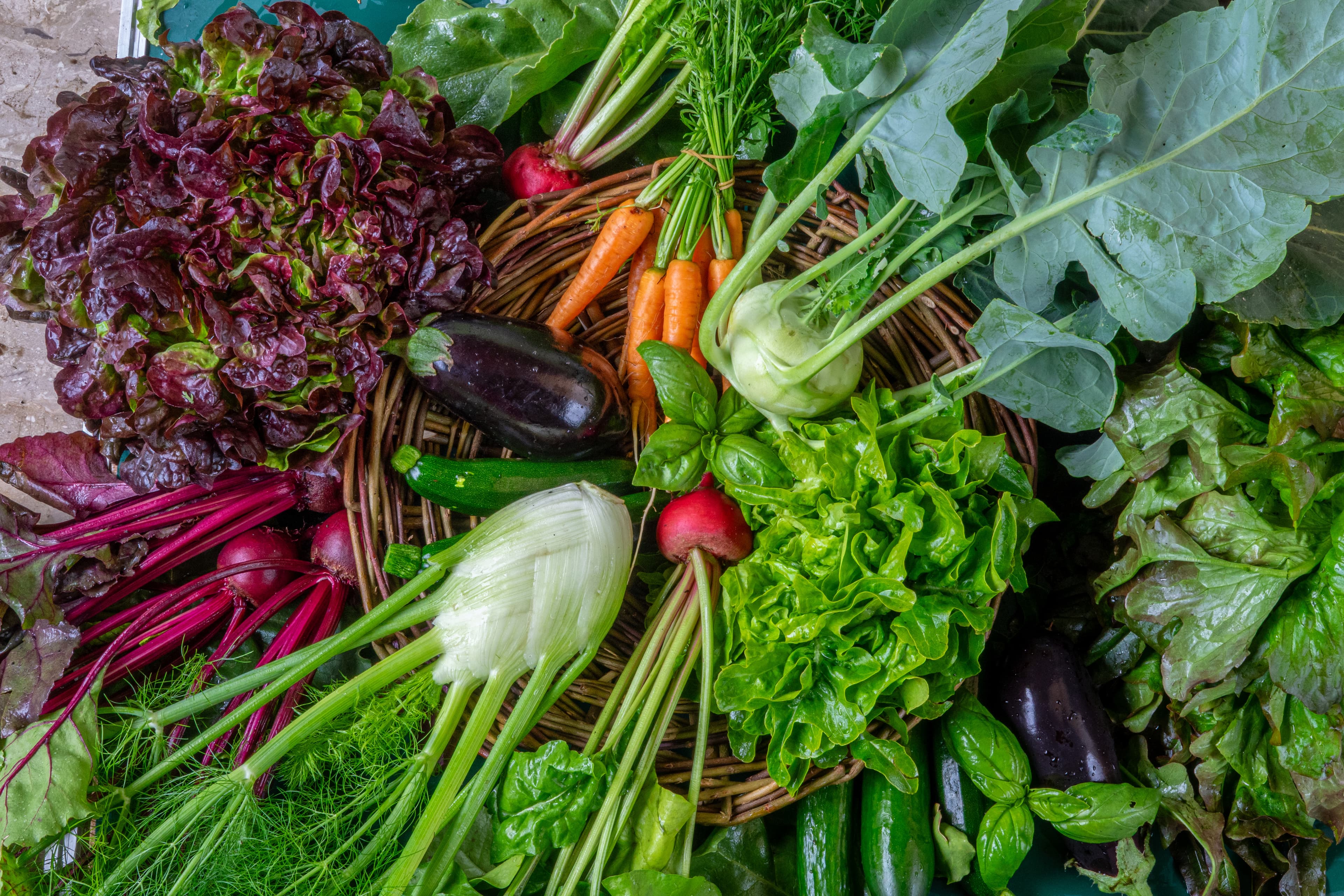 Frisches Gemüse im Erntekorb